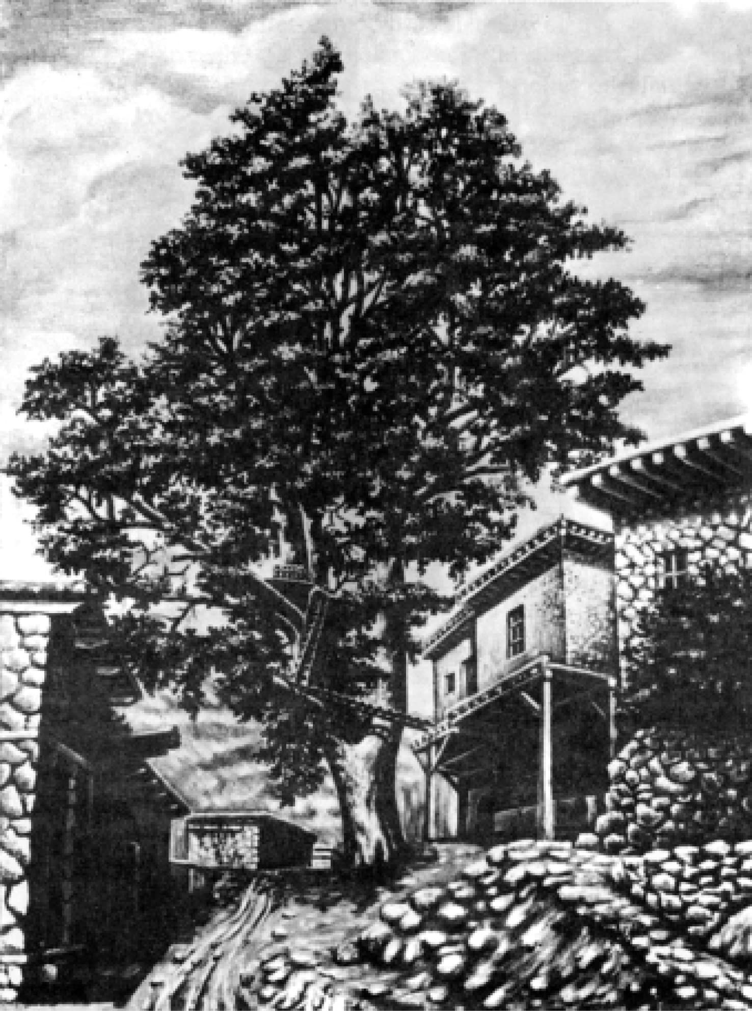 tarihce_barla_cinar_medrese.jpg